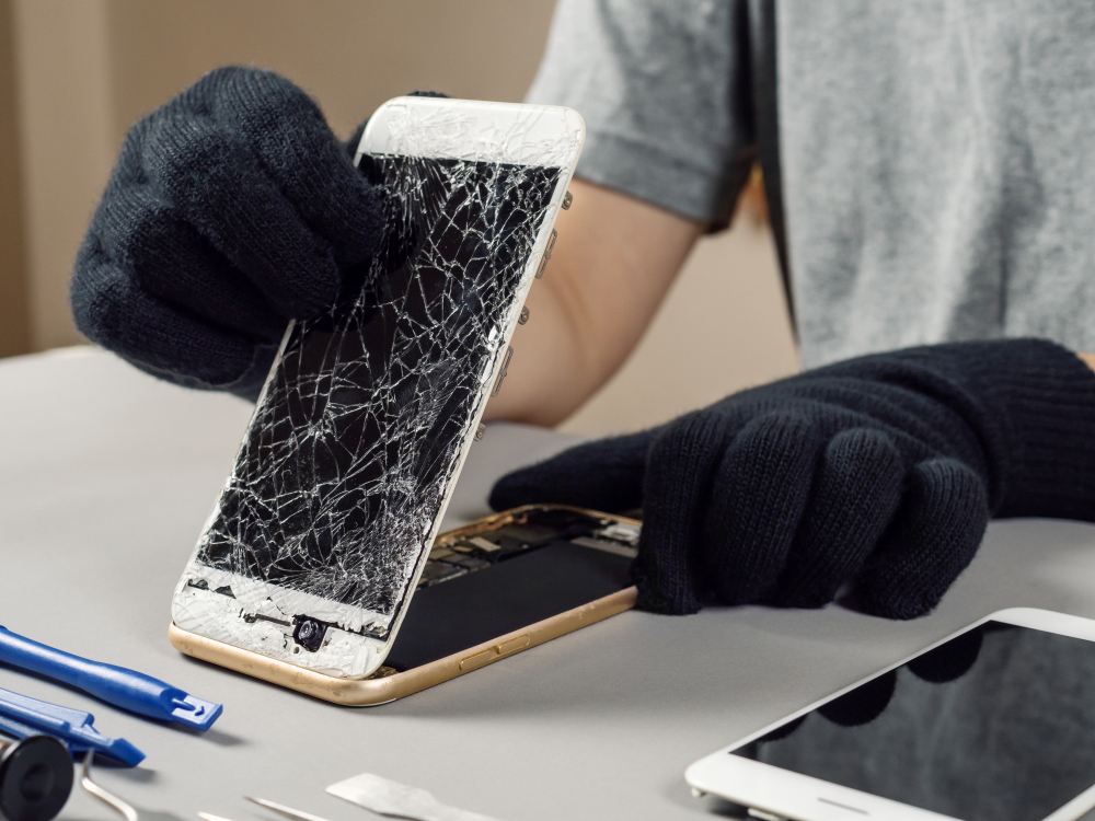 Display Reparatur
